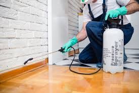 Best Residential Pest Control  in Fort Lewis, WA